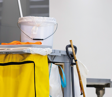 What Are the Most Common Sources of Odours in the Bathroom and How to Get Rid of Them?